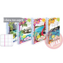 CAHIER WIREO 200P PM SEYES 17*22 80G SELECTA