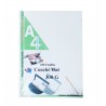 RAME PAGE DE GARDE COUCHE 100F MAT 300G A4