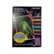 RAME PAPIER PHOTO GLOSSY 2F A4 140G DE 50 F