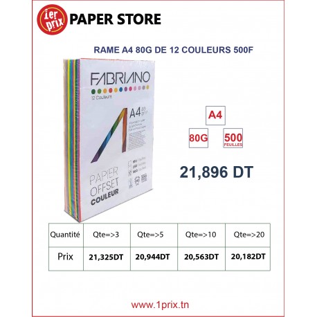 RAME 21/29.7 80G DE 12 COULEURS 500F