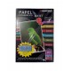 RAME PAPIER PHOTO GLOSSY 2F A4 230G DE 50 F MACRO/TARGET