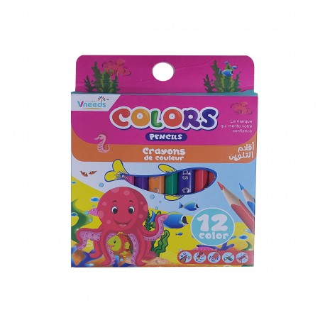CRAYON COULEUR DE 12/9 VNEEDS V.06.61